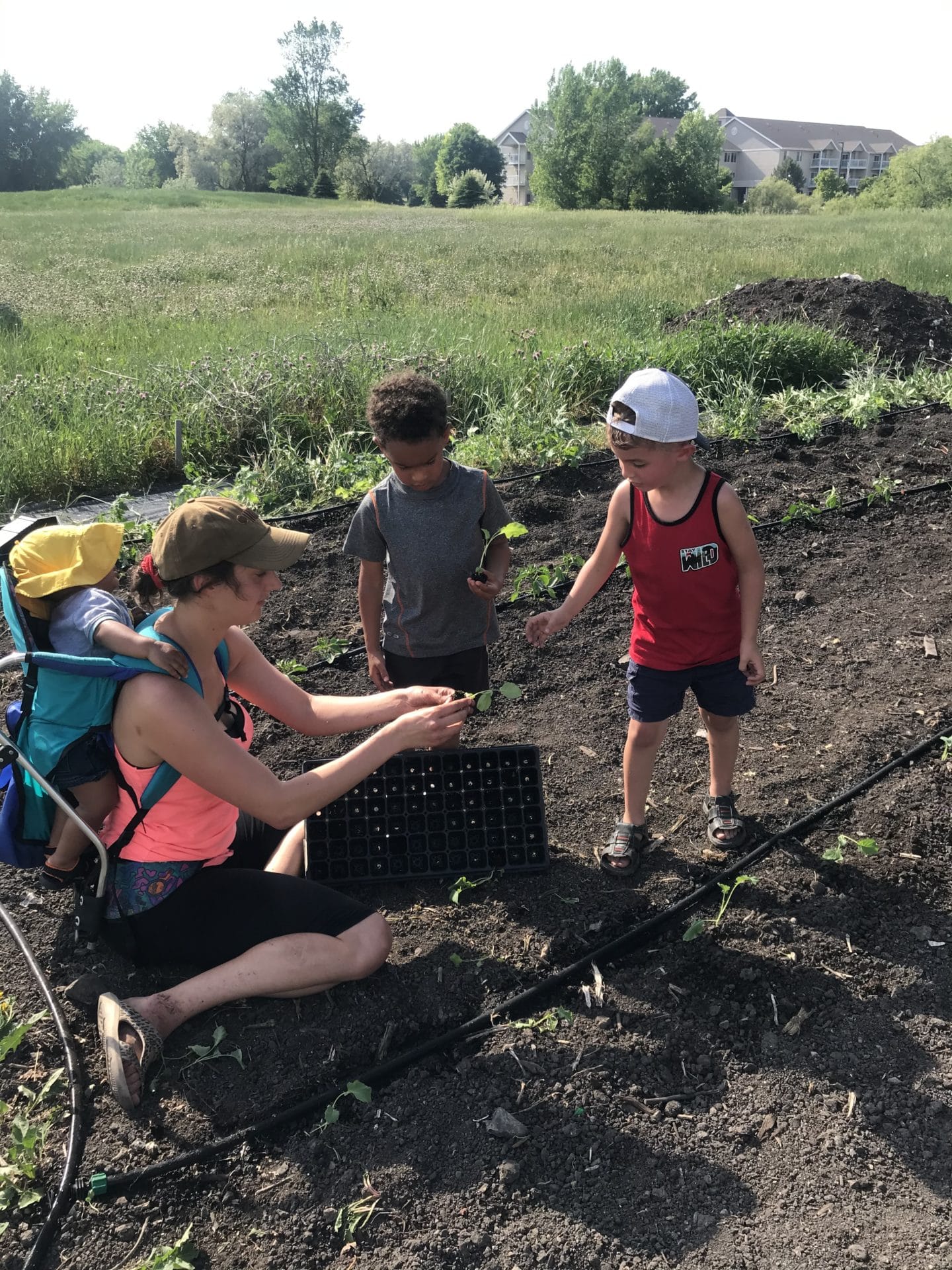 Willmar Lakes Area Community Shared Garden - VISION 2040